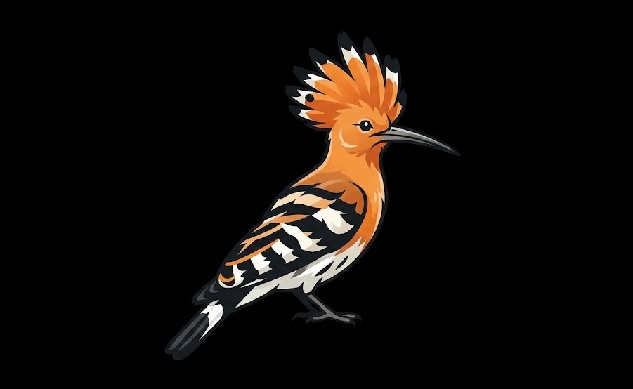 Hoopoe: Your IPN Summit 2026 Companion